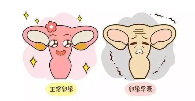 臨沂麗人醫(yī)院取精生男孩準(zhǔn)確率高嗎 目前臨沂有兩家試管醫(yī)院 ‘b超單孕囊1.05X0.8cmm男孩女孩’