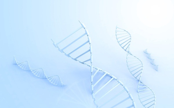 長沙瑪麗亞醫(yī)院可以報銷嗎 長沙試管私立醫(yī)院有哪幾家長沙私立試管醫(yī)院 ‘孕囊323538男孩女孩’