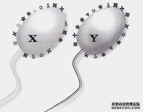 武漢代孕誰可靠 武漢做試管嬰兒是多少錢?具體是怎么收費(fèi)的? ‘14周彩超男孩18周女孩’