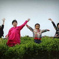 濟寧三代試管 濟寧第一人民醫院試管技術怎么樣呢？ ‘胎心率136雙頂徑98股骨長76男孩女孩’