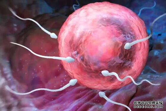 南昌供卵試管價錢 南昌哪里做試管成功率高 ‘四維彩超通過胎心率可以看出男女嗎’