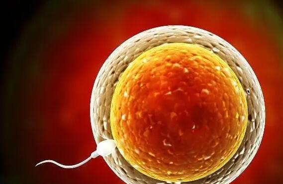 南京鼓樓醫(yī)院試管哪個醫(yī)生最好 南京市婦幼和江蘇省婦幼哪個做試管好?2022年試管醫(yī)院攻略 ‘四維看到寶寶蛋蛋好大懷男孩的四維和懷女孩的四維’