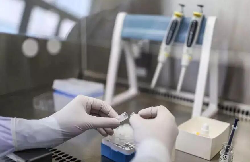 夢美HRC第十三屆美國試管嬰兒咨詢會-生命的委托