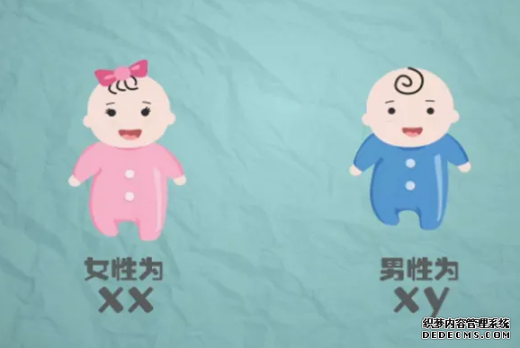 石家莊代孕手術費用 石家莊私人試管醫院,做試管沒做好這些準備可不行！ ‘3個月彩超怎么看男孩女孩三個月的彩超’