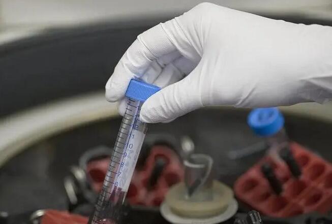 阜新供卵試管 最新阜新哪家試管醫院成功率最高 ‘懷男孩孕六周的癥狀’