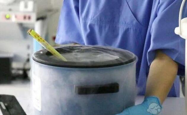 佛山試管中介 佛山婦幼保健院試管嬰兒流程介紹: ‘女胎早孕b超圖’