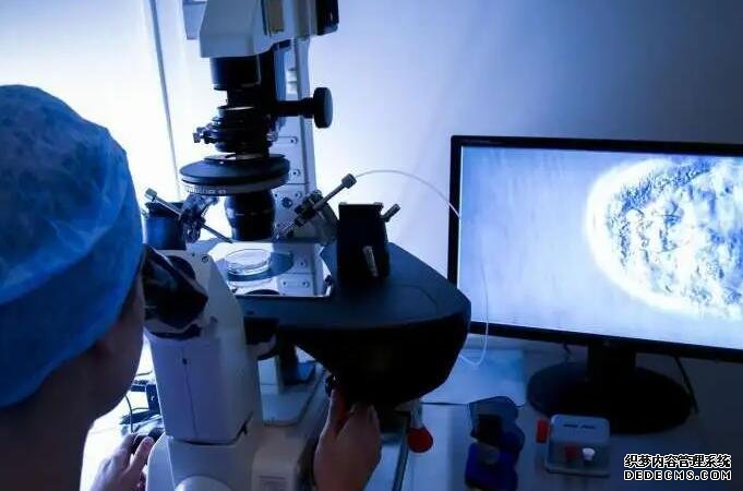 廣東供卵試管聯(lián)系方式 廣東省生育登記政策補充 ‘孕囊14×24×9是男孩女孩’