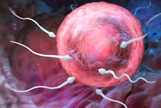 連云港單身做三代試管 2022連云港市婦幼保健院能做供精試管嗎?附江蘇供精試管醫院排名 ‘胎兒做四維生長指標能判斷男女嗎’