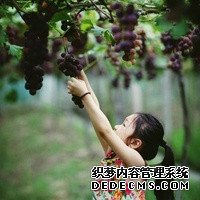 青島專業供卵網 青島王靜怡保胎厲害嗎? ‘四維彩超懷男孩的標志’