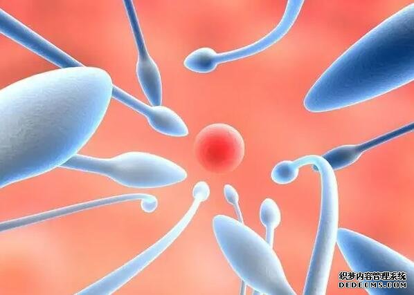 杭州供精 杭州第三代試管嬰兒成功率高低跟什么有關(guān)? ‘懷孕男孩子b超圖’