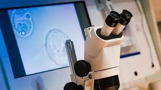 保定私立試管 保定做試管嬰兒最好的醫院,2023保定試管助孕醫院排行榜 ‘懷女孩的初期特征最準’