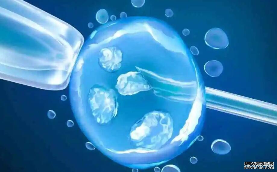 2023最新東莞三代供卵生男孩醫院名單已公布！附借卵生子成功率參考