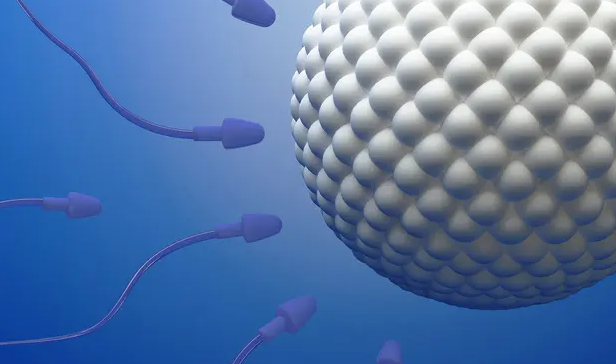 提高取卵量必備!試管嬰兒促排期間飲食禁忌