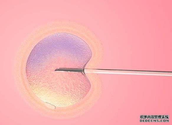 大同借卵 解讀大同試管嬰兒醫(yī)院排名排名靠前的醫(yī)院一定好嗎？ ‘b超如何測(cè)男女’