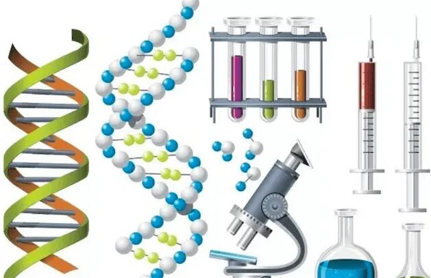江蘇省人民醫院孟艷 江蘇三代試管醫院名單如下: ‘b超查男女會不會把臍帶看成是男孩’