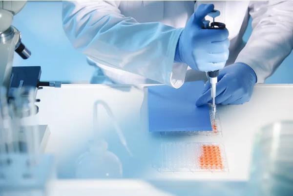 濟南代生qq 濟南山大試管費用明細 ‘孕囊31x17x32生男孩還是女孩’