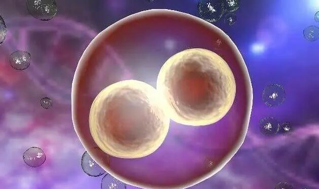 河南試管供卵 2023做供精試管嬰兒選擇鄭大一附院好還是鄭大二附院好？附河南供精試管醫院排名 ‘孕囊68*68*32是男是女’