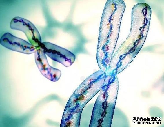 廣西區(qū)婦幼三代試管費用 2022廣西壯族自治區(qū)21家試管嬰兒醫(yī)院大全，附成功率前十醫(yī)院名單分享 ‘15*8*17孕囊是男孩還是女孩’