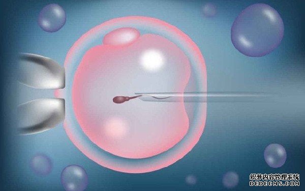 專業(yè)廣東代孕 廣東供精試管嬰兒流程: ‘孕23周b超生殖器像花瓣男孩女孩’