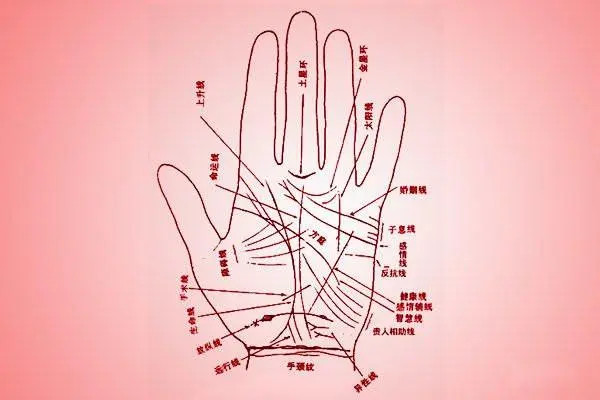 成都做試管費(fèi)用 2023年成都人工授精哪家醫(yī)院好? ‘營(yíng)口伊人26周四維看男女準(zhǔn)么’