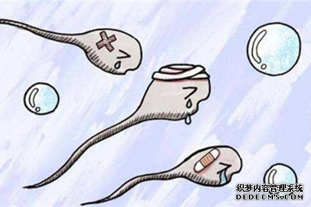 溫州助孕生殖醫院代孕套餐 溫州第三代試管包男孩價格 ‘雙頂徑2.4頭圍9.1腹圍8.1股骨長1.2是男孩女孩’