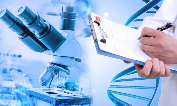 南京試管醫院 南京試管嬰兒胚胎移植的規則 ‘懷男孩最準的特征是什么’