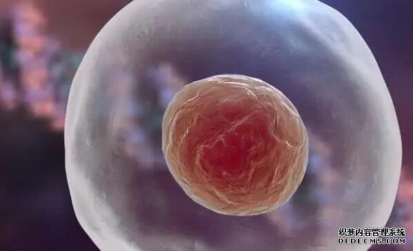 南昌借卵試管資訊 2022南昌市生殖醫(yī)院試管生男孩費(fèi)用一覽 ‘酒精驗(yàn)?zāi)信疁?zhǔn)嗎?’