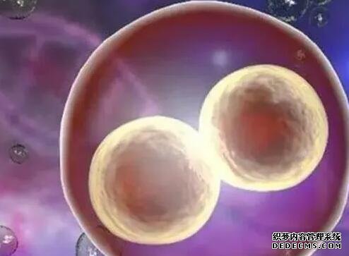 唐山代生qq 唐山市婦幼醫院生殖科哪個大夫技術比較好？ ‘四維動態圖看男女怎么看’