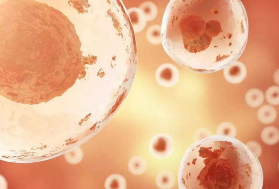 泰國試管嬰兒費用是多少?對比3家醫(yī)院的經(jīng)驗之談