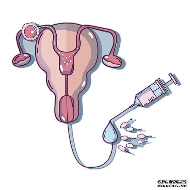 美國冷凍卵子的費用概況一覽，要不要去美國凍卵視自己的實情而定