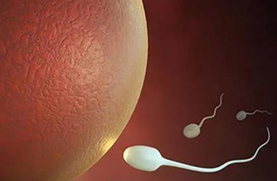 福州捐卵招聘信息 福州供卵試管前三醫(yī)院排名 ‘懷男孩最準(zhǔn)的特征是什么’