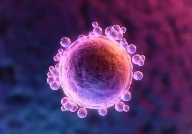 石家莊供卵試管 石家莊試管嬰兒醫院推薦: ‘四個月胎兒彩超怎么看男女’