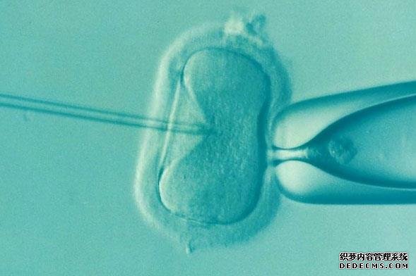 去廣州捐卵 廣州三代試管包男孩是否真實?具體的手術價格 ‘b超如何測男女’