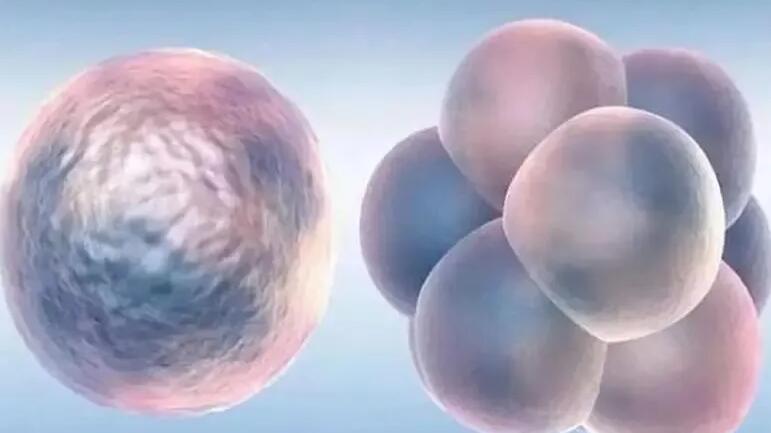 重慶三代供卵試管嬰兒醫(yī)院排名？附最新醫(yī)院名單！