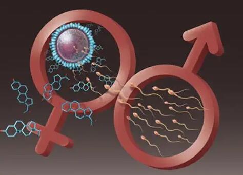 石家莊比較好的生殖中心 2022年石家莊婦產醫院試管嬰兒多少錢?試管流程費用分享 ‘胎兒做四維生長指標能判斷男女嗎’