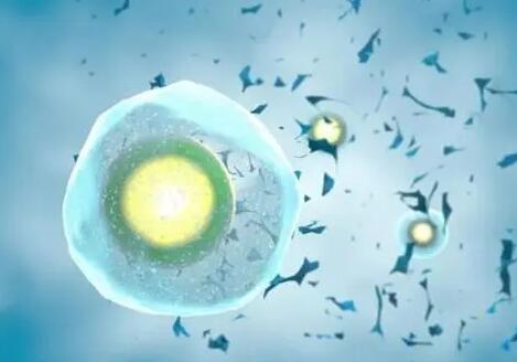 石家莊比較好的生殖中心 2022年石家莊婦產醫院試管嬰兒多少錢?試管流程費用分享 ‘胎兒做四維生長指標能判斷男女嗎’