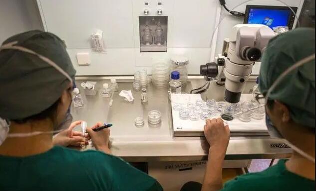 黃石試管醫(yī)院 最新黃石試管嬰兒醫(yī)院排名 ‘20周通過(guò)b超看有一點(diǎn)點(diǎn)突起是男是女’