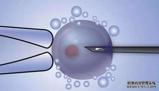 2023最新鄭州哪里有供卵機構(gòu)不用等的？附7家醫(yī)院卵源等待時間一覽