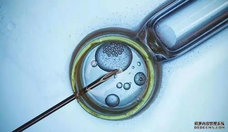 蘇州供卵試管經驗 2022蘇州市立醫院做試管嬰兒需要多少錢? ‘24三維彩超男女’