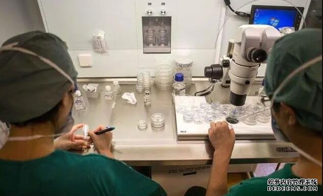 武漢供卵一般要幾個(gè)卵子 武漢錦欣醫(yī)院做試管生龍鳳胎費(fèi)用明細(xì)參考 ‘代孕幾個(gè)月用酒精尿液測(cè)男女最準(zhǔn)確’