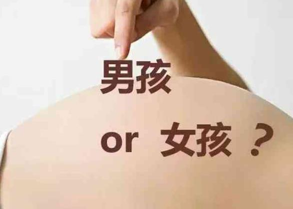 湖州供卵試管 最新湖州哪家試管醫院成功率最高 ‘b超兩條線男女’