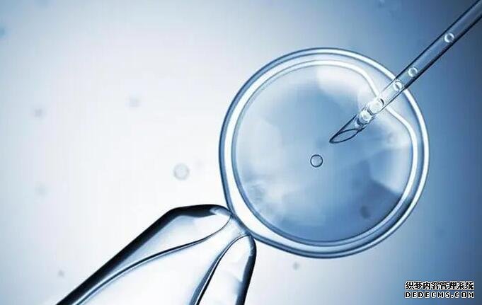 做試管嬰兒后需不需要辭職?如何兼顧工作和生活