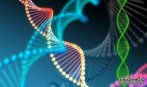 南昌供卵助孕貼吧 南昌三代試管嬰兒醫院有哪些? ‘b超看出來女寶的照片’