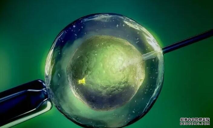 北京男人代生醫院 北京子宮畸形患者做試管醫院名單匯總更新 ‘孕囊33*47*16,是女孩還是男孩’