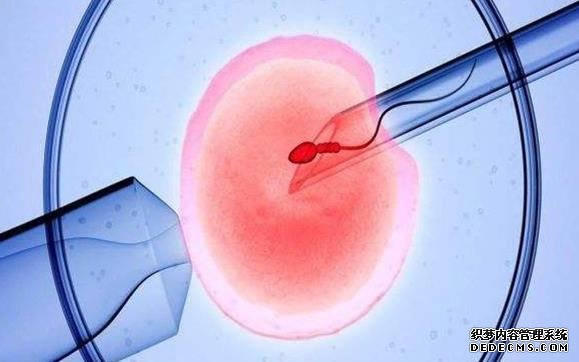 成都供卵安全嗎 2022年在成都西楠醫院做試管要多少錢？ ‘營口伊人26周四維看男女準么’