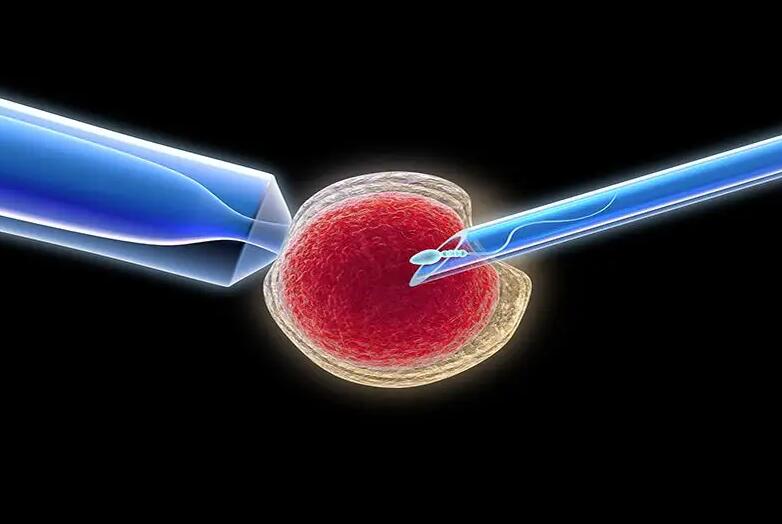 沈陽代代孕好嗎 在沈陽做試管過程痛苦嗎?有哪些適應癥? ‘b超單3個數據看男女2.8*1.5*14w5d’