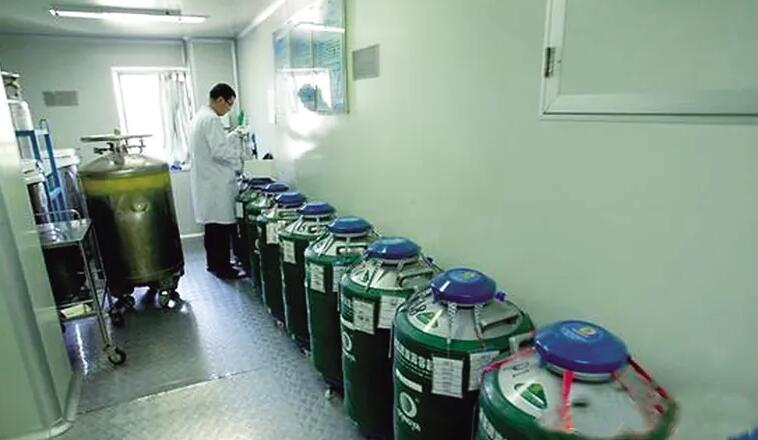 九江供卵試管 2023九江市婦幼保健院做試管嬰兒需要多少錢?附試管生男孩費用一覽 ‘1.21.20.8孕囊是男孩女孩’