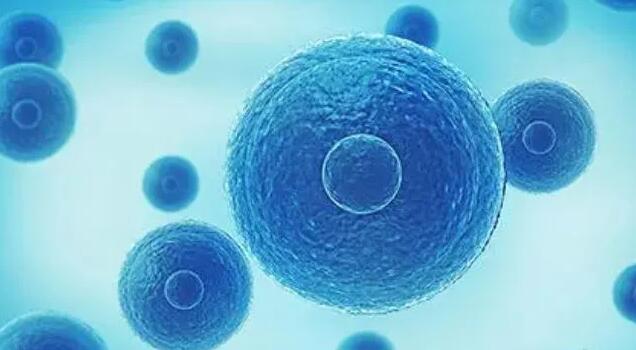 第六屆美國試管嬰兒咨詢答疑會圓滿落幕!