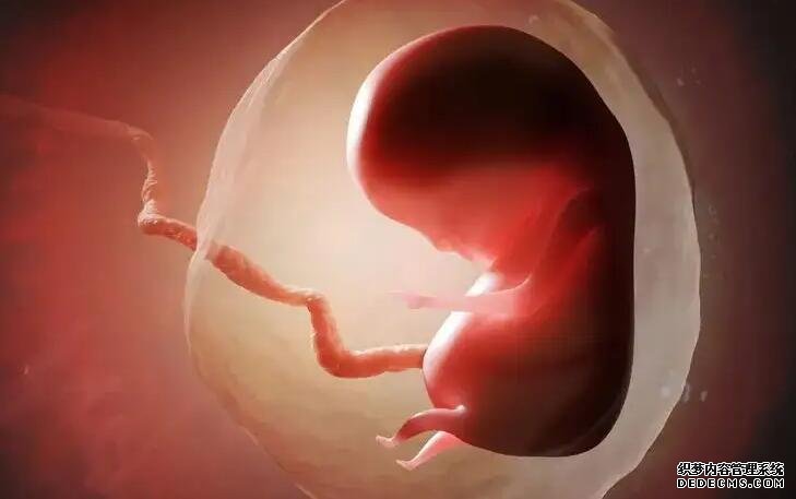 廣西區醫院生殖中心怎么樣 2022廣西壯族自治區私立助孕機構名單大全,附試管費用和成功率預估 ‘彩超下的男孩’