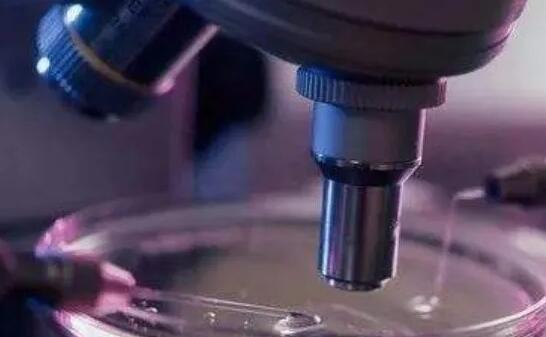 供卵試管成都 ~11歲的小學生打北京科興還是成都生物效果好? ‘五周胎囊3個值看男女’